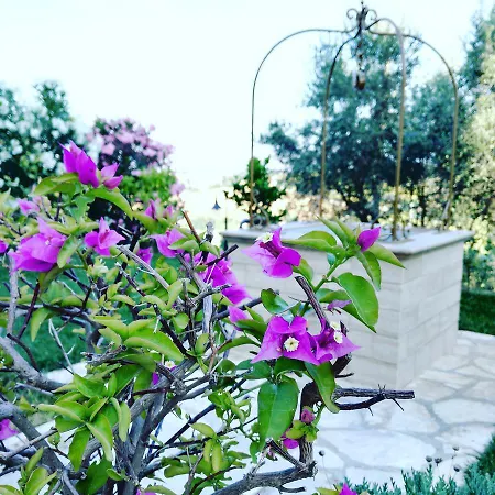 Le Dive Bed & Breakfast *